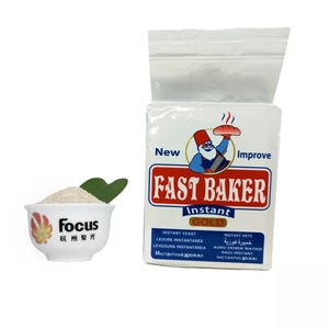 Levain sec instantané 500g à faible/haute teneur en sucre de <span class=keywords><strong>la</strong></span> meilleure qualité, fabriqué en Chine, pour boulanger - Product Image 2