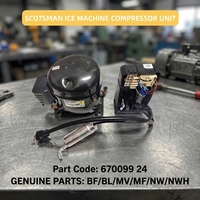 Pièces d'origine pour machine à glaçons Scotsman, série BL MF MV NW NWH, compresseur, conception sans givre, réfrigérant CO, modèle 67009924