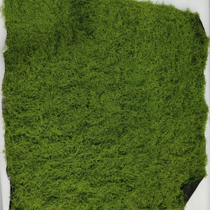 1M * 1M lumut hijau buatan rumput lumut plastik karpet lumut tanaman realistis lumut dinding untuk dekorasi - Product Image 3