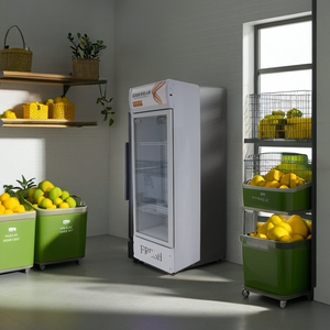 Enfriador de cerveza de una sola puerta Refrigerador de pantalla vertical hecho en fábrica Gabinete de bebidas de supermercado de 220V para almacenamiento de cerveza - Product Image 5