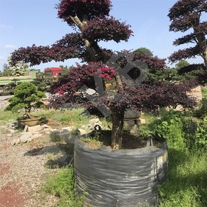 HOKBG Venta al por mayor vivero 72 galones jardín PP gran tamaño árbol planta <span class=keywords><strong>macetas</strong></span> <span class=keywords><strong>de</strong></span> plástico <span class=keywords><strong>de</strong></span> alta resistencia maceta duradera <span class=keywords><strong>macetas</strong></span> <span class=keywords><strong>de</strong></span> cultivo - Product Image 2