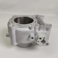 Blok Keramik Ruizheng Racing PCX160 Vario160 ADV160 Kit d'alésage de cylindre en céramique pour Honda