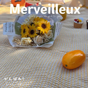 Tappetino da Picnic portatile per esterni in tovaglia da giardino resistente al vento con uscita primaverile materasso in acrilico impermeabile per parchi e campeggio - Product Image 5