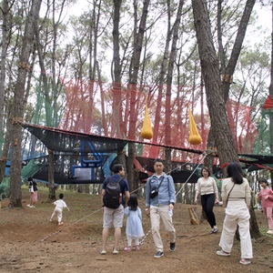 Ropecube - Equipo de Diversión para Parques Forestales: Trampolín de Árbol Tejido a Mano, Resistente a la Corrosión y a los Rayos UV, Túnel de Escalada y Columpio Colgante - Product Image 5