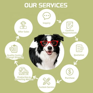 OEM ODM Gotas para Evitar la Diarrea en Perros y Gatos, Suplemento para la Salud del Sistema Digestivo, Líquido para Evitar la Diarrea en Mascotas, Sabor Personalizado de Marca - Product Image 3