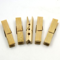 24 pinces à vêtements en bois