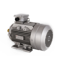Moteur électrique asynchrone en fonte haute puissance YE2-100L1-4 3HP 4 pôles 380V Triphasé 50Hz TEFC 2890RPM Moteurs AC