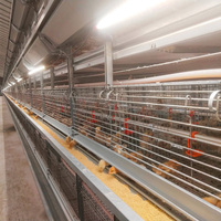 Cage d'élevage de poulets de type H entièrement automatique, conception de reproduction naturelle, cage de reproduction à haute fertilité pour élevage avicole