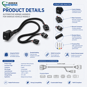 Harnais de câblage personnalisé en usine pour l'automobile, le marine, les chariots de golf, les excavateurs, les motos, les VTT/UTV - Product Image 3