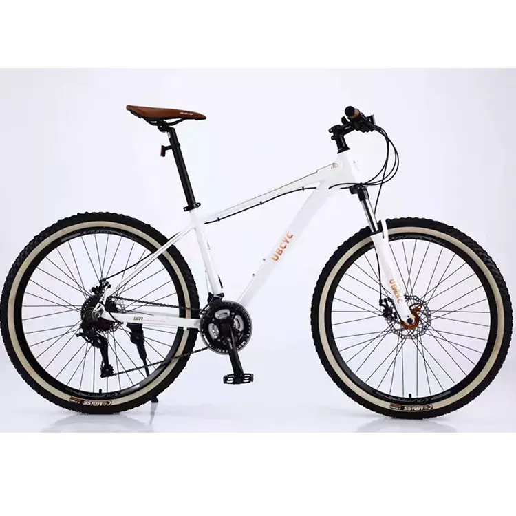 Vastago-Cuadro de bicicleta de montaña 29/Cuadro de carbono 29er/ mtb, 29 '', 12 velocidades/SUSPENSIÓN COMPLETA