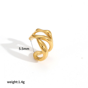 <b>Clip</b>-on Earrings 18k Gold Plated Zinc Alloy Geometric Design Fashion Jewelry for Women - Product Image 5