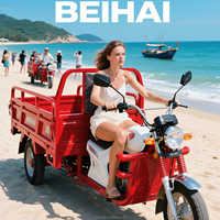 Tricycle électrique chinois 1000W, véhicule utilitaire à 3 roues, moteur en acier, carrosserie ouverte, 60V, 600kg, pour passagers, exporté par des exportateurs de tricycles