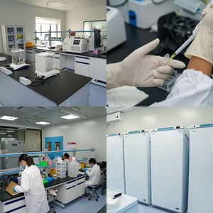 Canine influvirus virüs Ag Civ hayvan hızlı Test kiti - Product Image 5