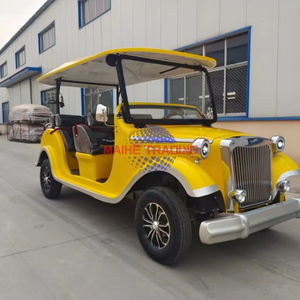 Bus touristique électrique de luxe pour 11 personnes, style classique, homologué CE, livraison gratuite - Product Image 5