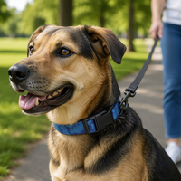 Collier de chien en nylon de mode de luxe, accessoire imperméable pour animaux de compagnie à impression intelligente avec option de logo personnalisé de décoration de ruban