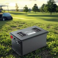 Baterai Lithium Ion 48V untuk Mobil Golf 51.2V 105Ah Baterai LiFePO4 Mobil Golf dengan Bluetooth untuk Mengganti Baterai Asam Timbal dan Peningkatan