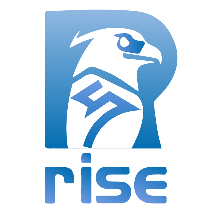 Shandong Rise Import And Export Co., Ltd. logo