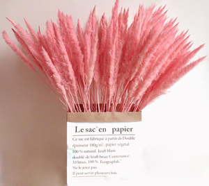 Decoración de Halloween Flor Hogar Arreglo floral Flor seca Reed Flower Bouquet Small Reed Grass <span class=keywords><strong>Pampas</strong></span> - Product Image 6