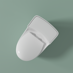 Nouvelle sortie 2025 <span class=keywords><strong>Ensemble</strong></span> de toilettes monobloc en céramique moderne avec bidet pour <span class=keywords><strong>femme</strong></span> à double chasse et installation au sol - Product Image 2