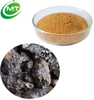 Échantillon gratuit de poudre d'extrait de Shilajit de haute qualité, naturel et pur, Asphaltum Punjabianum
