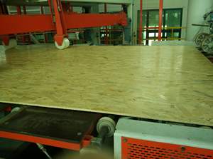 Tablero de madera contrachapada <span class=keywords><strong>OSB</strong></span> antitermitas de buena calidad 1220*2440*<span class=keywords><strong>22</strong></span>/25mm panel de madera <span class=keywords><strong>OSB</strong></span> para pisos - Product Image 2