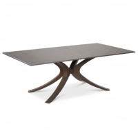 Table basse en céramique noire avec structure métallique, design minimaliste de luxe, pour salon, en pierre frittée durable, support à café décoratif