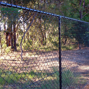 Khu dân cư 6 chân Chiều cao 50 Chân CuộN Cyclone liên kết dây màu đen giá rẻ Chuỗi liên kết hàng rào - Product Image 3