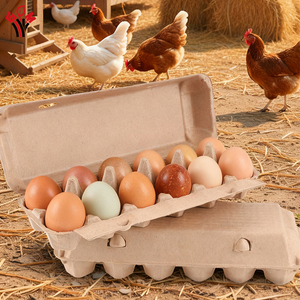 Free Samples Wholesale 12 Count Biodegradable <strong>Chicken</strong> <strong>Egg</strong> Tray Brown <strong>Egg</strong> Carton Box Recyclable 12 Holes Disposable <strong>Egg</strong> <strong>Crates</strong> - Product Image 1