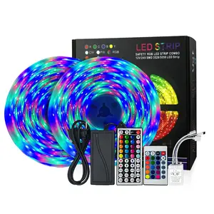 Gran oferta RGB LED tira de Control remoto luz 12V 24V SMD 5050 WS2811 Pixel Digital direccionable RGB sueño Color tira de LED