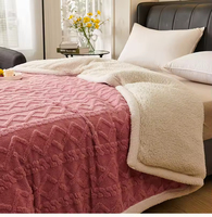 Couverture de canapé simple, tapis en peluche uni, couverture de sieste pour la maison quatre saisons, petite couverture épaisse d'hiver, couverture de climatiseur