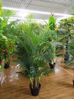 Palmier artificiel en plastique écologique 160 cm pour la décoration intérieure