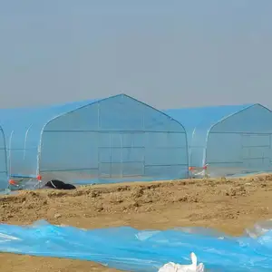 Best selling Large Size and Multi-Span Glass Greenhouses for Agriculture