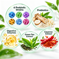 Capsules de Probiotiques Marque Blanche OEM/ODM Enzymes Prébiotiques Thé Vert Cayenne Complément Alimentaire Nutrition Digestive Vente en Gros Usine