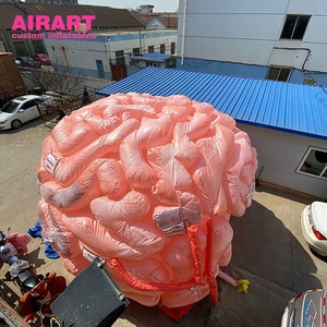Modèle d'organe cérébral gonflable pour les événements d'éducation en <span class=keywords><strong>neurologie</strong></span> - Product Image 2