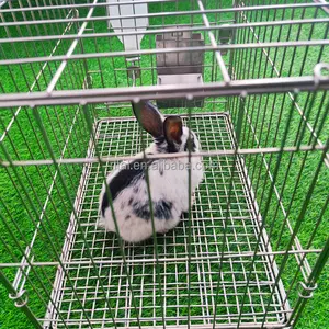 large commercial rabbit breeding indoor cages industrial