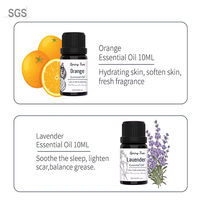 Huiles essentielles biologiques pures gros arbre à thé menthe poivrée lavande diffuseur arôme avec des ingrédients de pin