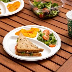 Assiette en bagasse de canne à sucre de 10 pouces à 3 compartiments, résistante à la chaleur, biodégradable, jetable, compatible micro-ondes, pour le camping - Product Image 5