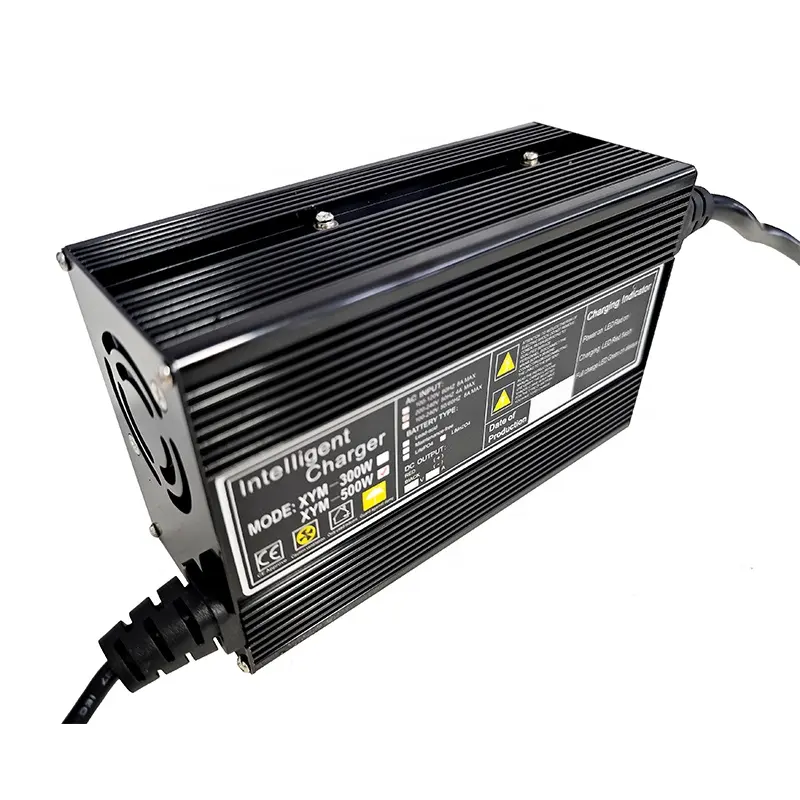 12V 24V 36V 48V lifePo4 battery charger 59.4V lithium battery charger 6A 10A 15A 20A scooter charger