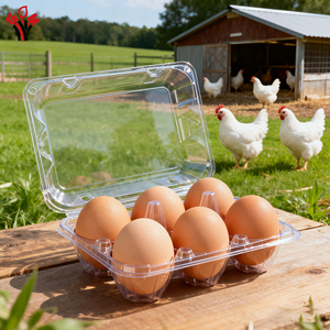 Mẫu miễn phí số lượng lớn Bán buôn giá rẻ trong suốt dùng một lần nhựa trứng thùng carton hộp khay cho 4 6 12 15 30 trứng - Product Image 1