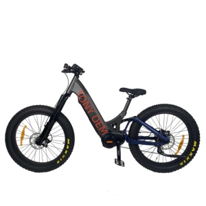 <span class=keywords><strong>QUEEEN</strong></span>/Vollgefedertes Ultra G510 48V750W 1000W Mittelmotor-Hybridfahrrad mit Tiefeinsteiger-Fatbike-Reifen Elektro TDF05Z - Product Image 1