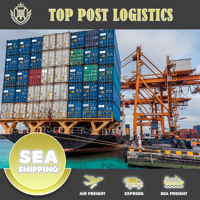 Морские перевозки до двери/морские перевозки из Китая в Колумбию Венеция и Гуяна