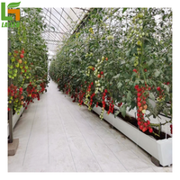 Multi-Span Hydrocultuur Systeem Kassen Commerciële Winter Polycarbonaat Kas