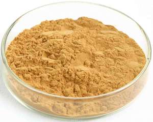 Poudre d'extrait de feuilles de <span class=keywords><strong>Ginkgo</strong></span> Biloba séché à <span class=keywords><strong>prix</strong></span> de charge Meilleur extrait de <span class=keywords><strong>Ginkgo</strong></span> Biloba - Product Image 1
