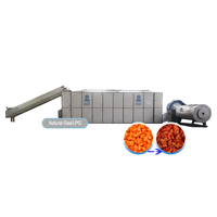 Séchoir à carottes avancé, machine de séchage de légumes, équipement de séchage de carottes
