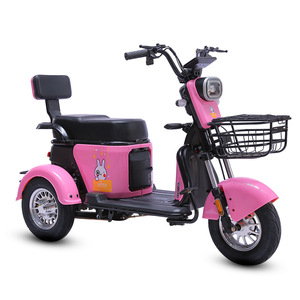 Paige 800W Rickshaw Eléctrico Plegable para Adultos, Motocicleta Triciclo, Taxi, Triciclo Eléctrico de 3 Ruedas - Product Image 3