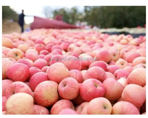 แอปเปิ้ลฟูจิแดงจีน รสชาติอร่อย สดใหม่ สไตล์เรดกัล่า - Product Image 6