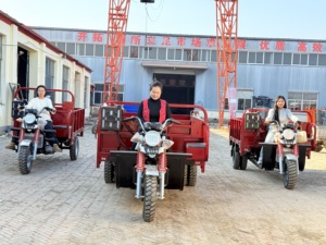 Tricycle de transport à 9 roues refroidi par eau de 400 cm³, charge utile maximale de 2500 kg pour la construction et l'agriculture - Product Image 5