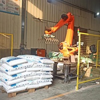 KUKA Robot industriel automatique 25Kg 50Kg Robot bras ligne d'emballage riz sable sol sacs boîtes conteneurs Robot palettiseur