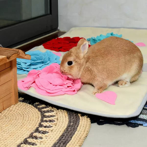 แผ่นรองดมกลิ่นสำหรับสุนัข แบบพกพา ทนทาน ป้องกันการกัด ไม่ลื่น สำหรับสุนัขขนาดใหญ่ - Product Image 6