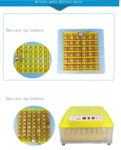 Máy Ấp Trứng Mini Ấp Trứng/Máy Ấp Trứng Gia Cầm Tự Động Máy Ấp Trứng Gà/Máy Ấp Trứng Tỷ Lệ Ấp Trứng Cao - Product Image 5